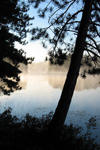 Ryan Lake Morning