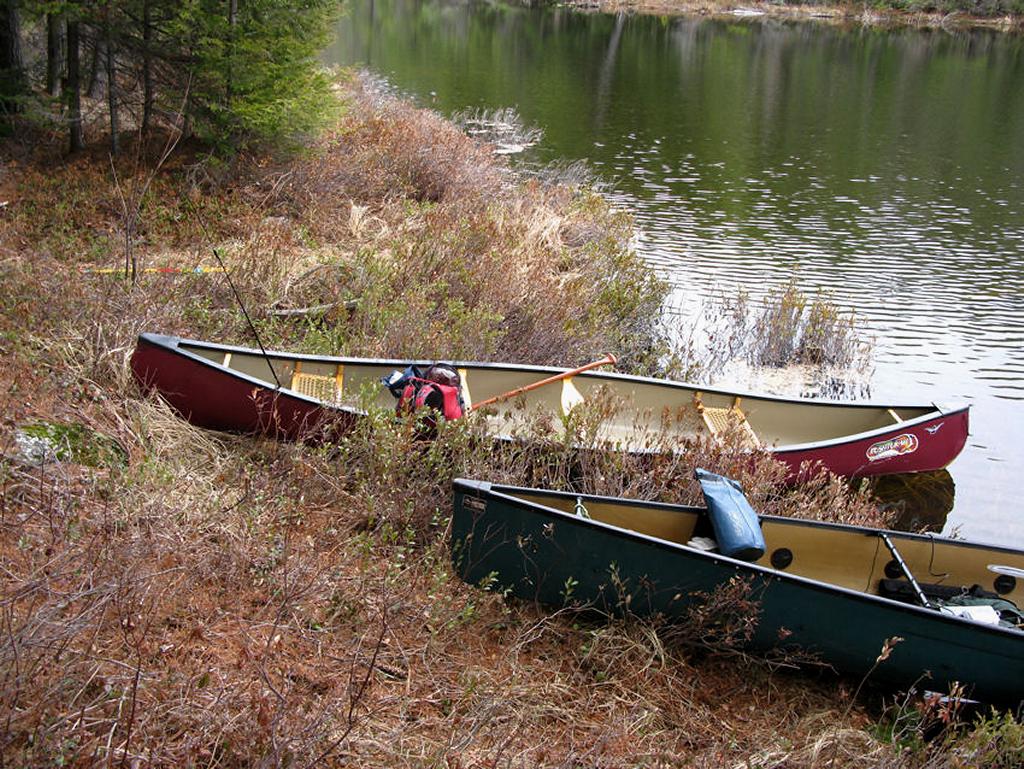 AlgonquinAdventures.com - Log Canoe lake Campsite #1