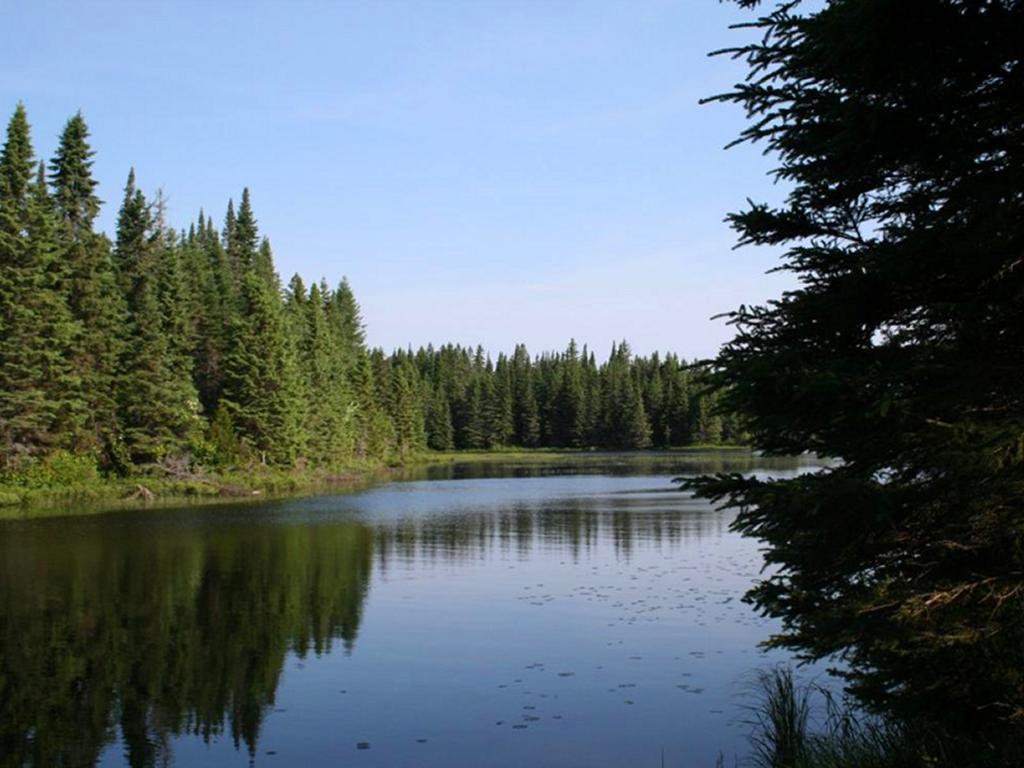 Longbow Lake Campsite 1