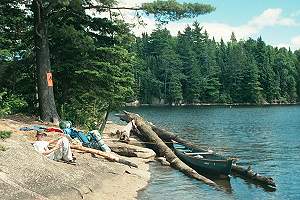 On the northside of Burnt Island Lake, this campsite has great mid-day sunshine.