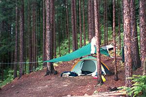 Some forest floor debri improved the shelf's grade. After a night of rain, the slope became quite treacherous.